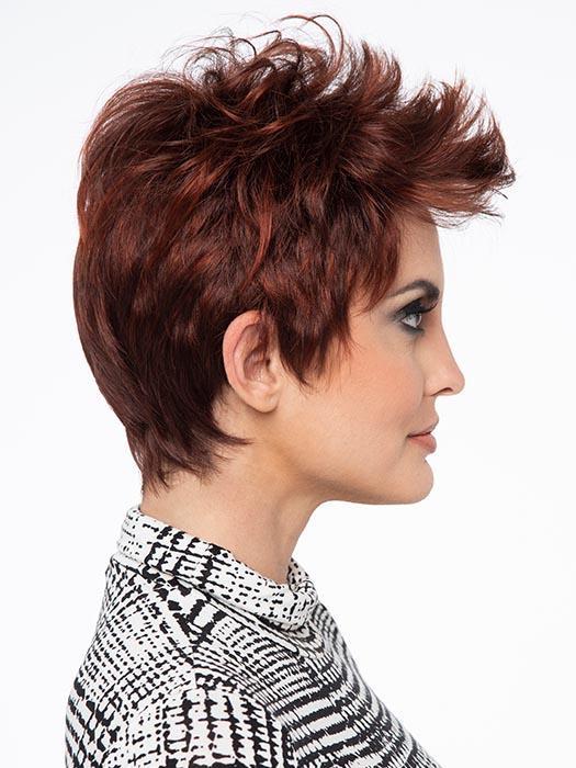 Raven | Synthetic Lace Front Wig (Basic Cap) | DISCONTINUED - Image 4